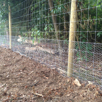 Woven Wire Fencing-Galvanized Kraal Network